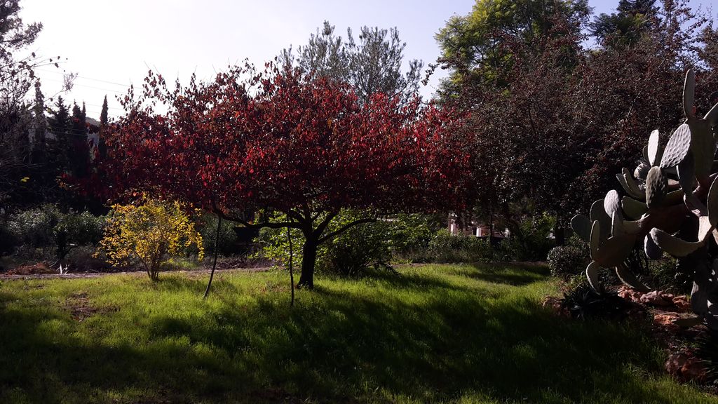 Photo de la villa à Ibiza 21